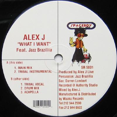 Alex J, Jazz Brazillia - What I Want