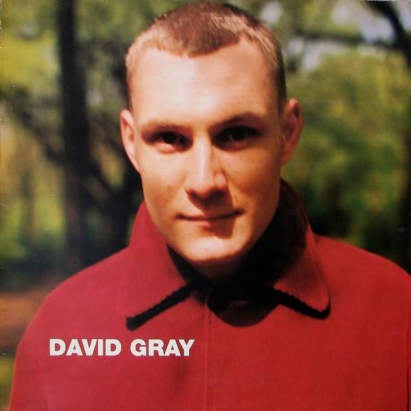 David Gray - Wisdom