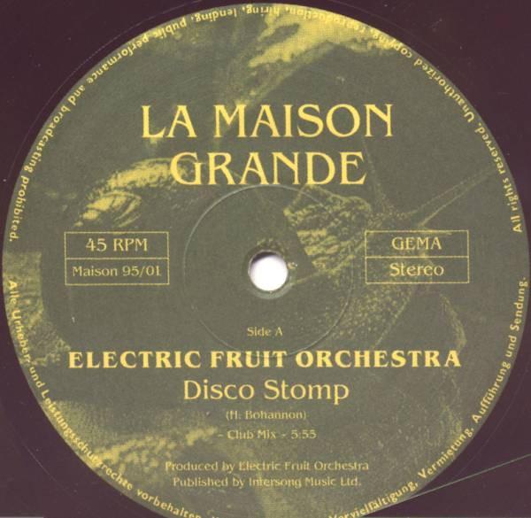 Electric Fruit Orchestra - Disco Stomp