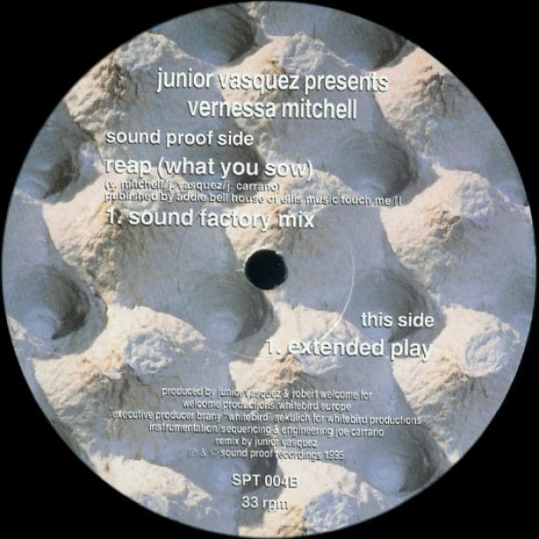 Junior Vasquez, Vernessa Mitchell - Reap (What You Sow)