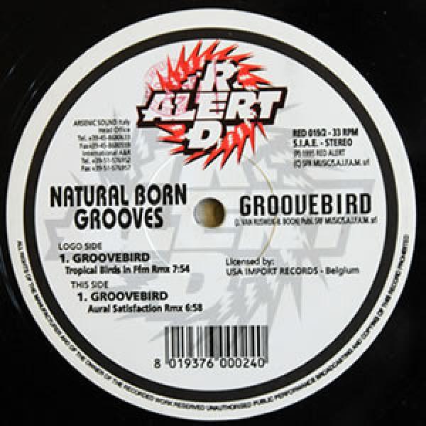 Natural Born Grooves - Groovebird