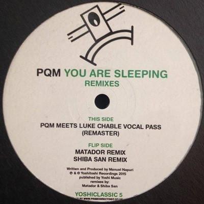 Prince Quick Mix - You Are Sleeping Remixes