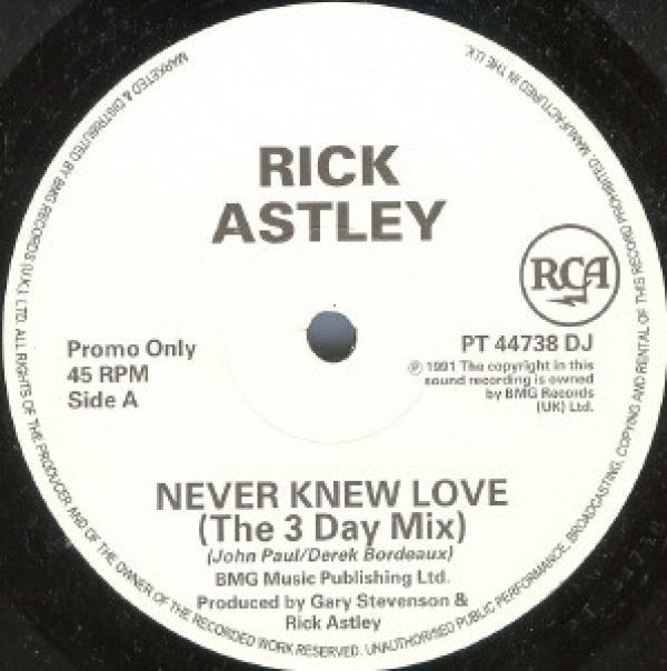 Rick Astley - Never Knew Love