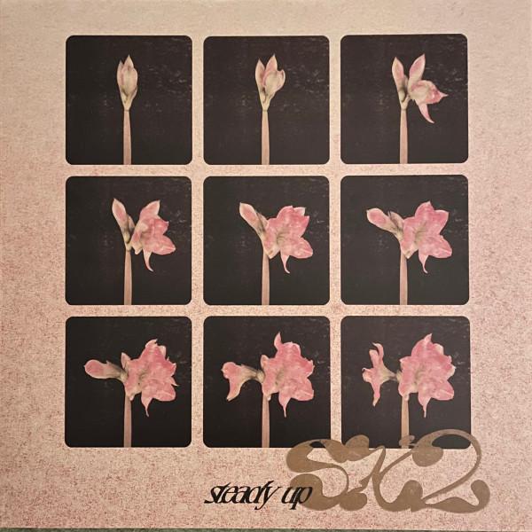 SX2 (2) - Steady Up