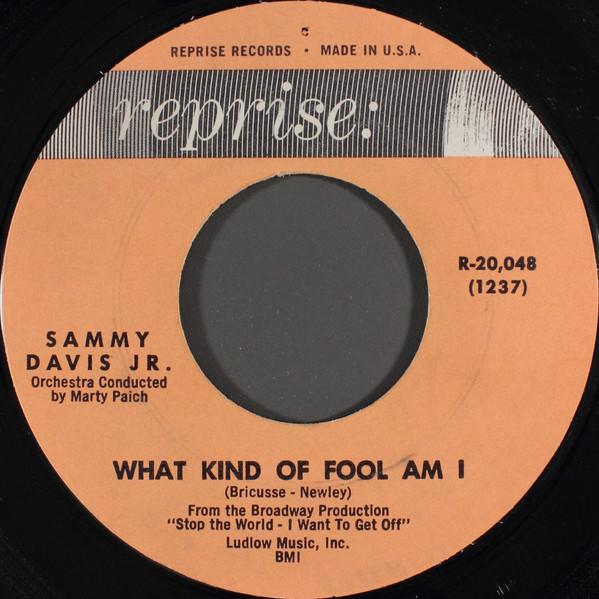 Sammy Davis Jr. - What Kind Of Fool Am I / Gonna Build A Mountain