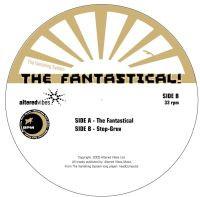 The Vanishing System - The Fantastical/Step-Gruv