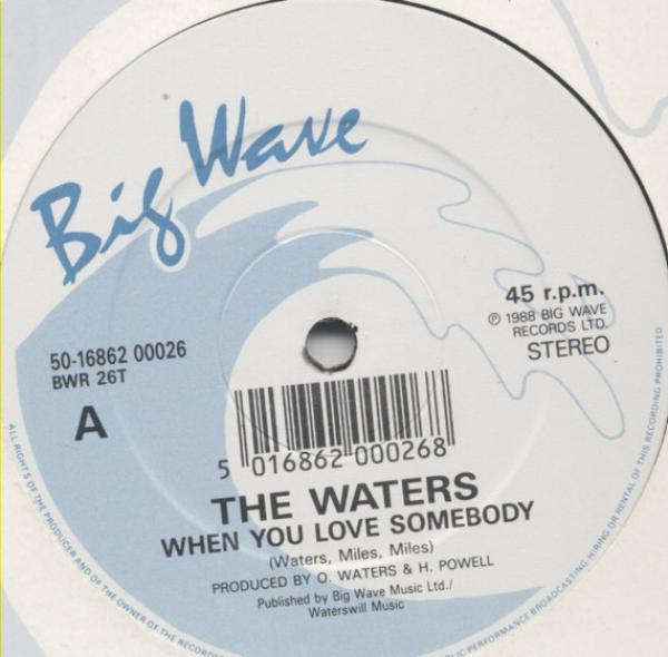 The Waters - When You Love Somebody