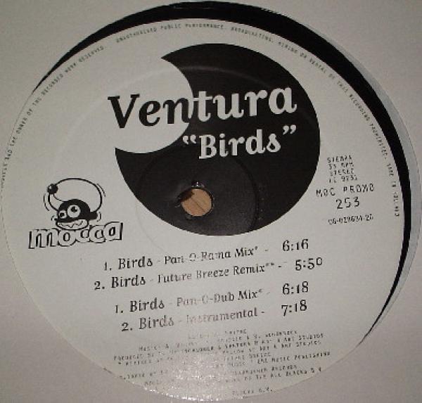 Ventura - Birds