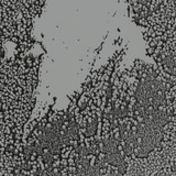Walls (2) - Urals